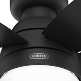 Hunter - 52613 - 44" Ceiling Fan - Lilliana - Matte Black