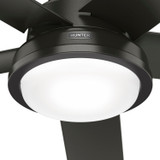 Hunter - 52417 - 52" Ceiling Fan - Seawall - Noble Bronze