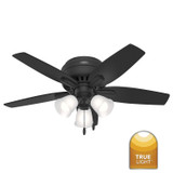 Hunter - 52393 - 42" Ceiling Fan - Newsome - Matte Black