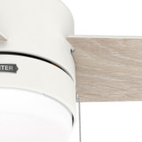 Hunter - 51972 - 52" Ceiling Fan - Brunner - Matte White