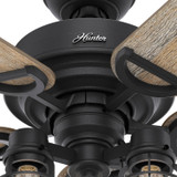Hunter - 50409 - 52" Ceiling Fan - Starklake - Natural Black Iron