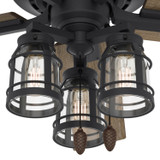 Hunter - 50169 - 52" Ceiling Fan - Vista - Natural Black Iron