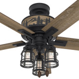 Hunter - 50169 - 52" Ceiling Fan - Vista - Natural Black Iron