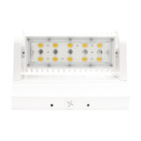Westgate - LW360-40W-50K-WH - LED Wall Pack - White