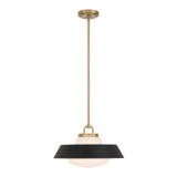 Crystorama - XAN-8006-VG-MK - One Light Pendant - Xander - Vibrant Gold