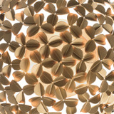 Crystorama - COR-7100-SG - Three Light Flush Mount - Cora - Soft Gold