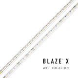 Diode LED - DI-12V-BLX2-27-W100 - Strip Light