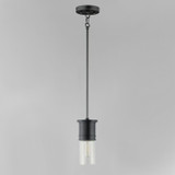 Maxim - 10362CDBK - One Light Mini Pendant - Rexford - Black