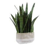 Uttermost - 60271 - Accent Plant - Sansera Snake - Beige And Tan