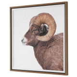 Uttermost - 32546 - Framed Print - Big Horn