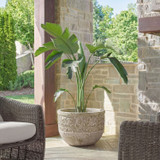 Uttermost - 18358 - Planter - Regalia - Weathered Stone