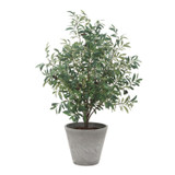 Uttermost - 60268 - Planter - Marisol - Natural-looking Olives