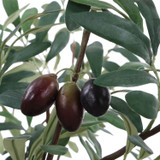 Uttermost - 60268 - Planter - Marisol - Natural-looking Olives