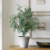 Uttermost - 60268 - Planter - Marisol - Natural-looking Olives