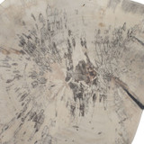 Uttermost - 03505 - Wall Decor Set/3 - Teo - Light Bleached