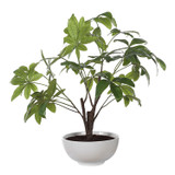 Uttermost - 60225 - Tree - Pachira Money - Glossy White