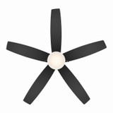 Minka Aire - F673L-BBR/CL - 52" Ceiling Fan - Airetor - Brushed Brass