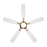 Minka Aire - F1001-BBR/ALW - 60" Ceiling Fan - Dyno - Brushed Brass