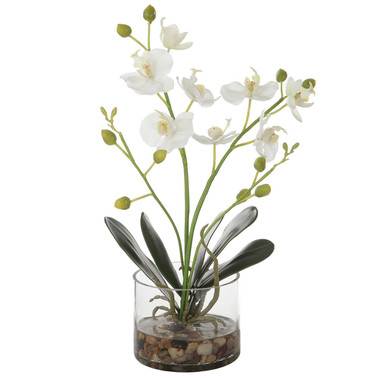 Uttermost - 60201 - Artificial Flower - Glory - Clear