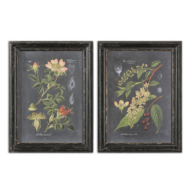 Uttermost - 56053 - Wall Art - Midnight Botanicals - Black
