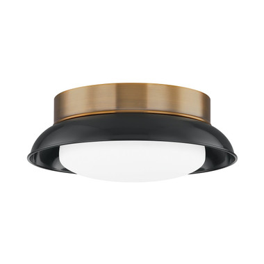 Troy Lighting - C2014-PBR/GBK - Two Light Flush Mount - Arnie - Patina Brass