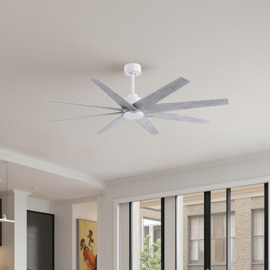 Matthews Fan Company - AN-MWH-BW-64 - 64"Ceiling Fan - Ariella - Matte White