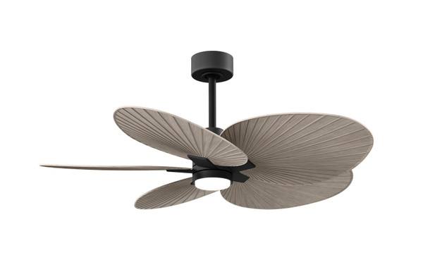 Matthews Fan Company - AKTPLK-BK-GA - 48"Ceiling Fan - Alessandra TROPICAL - LK - Matte Black