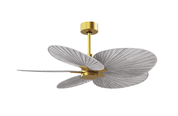 Matthews Fan Company - AKTP-BRBR-BW - 48"Ceiling Fan - Alessandra TROPICAL - Brushed Brass