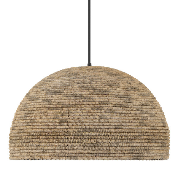 Hunter - 48265 - One Light Pendant - Hillmount - Matte Black