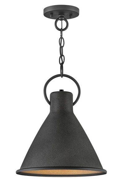 Hinkley - 3557DZ - LED Pendant - Winnie - Aged Zinc
