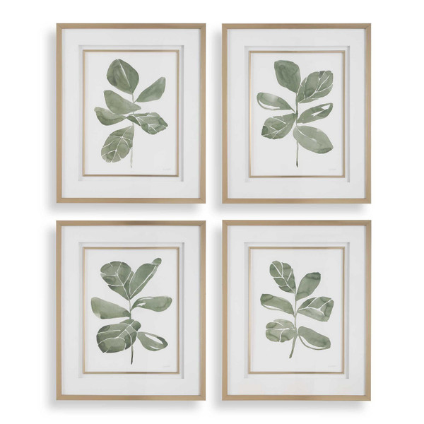 Uttermost - 32454 - Prints Set/4 - Fiddle Head - Golden