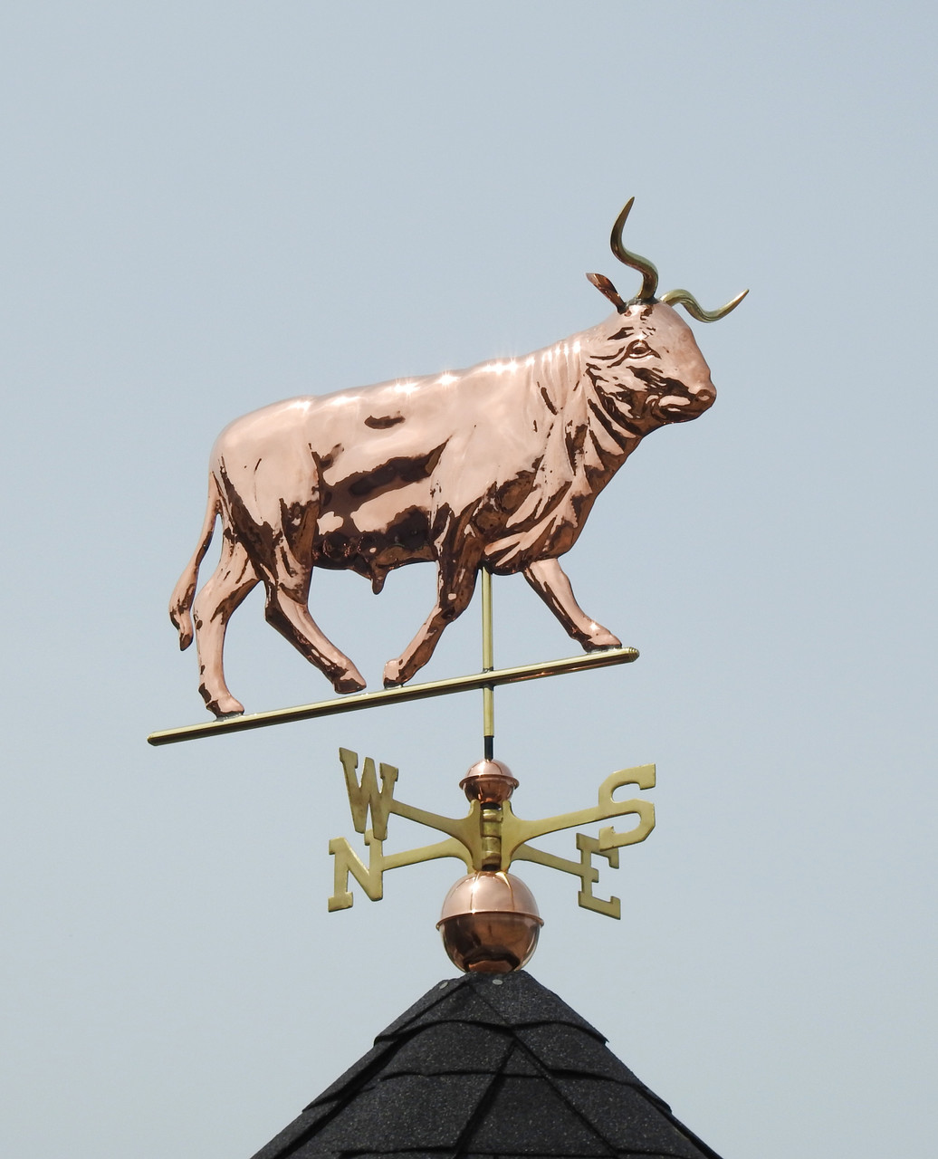 Steer Weathervane at Weathervanes of Maine