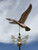 Flying Goose Weathervane 1