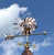 Small Shades Sunface Weathervane Small Shades Sunface Weathervane