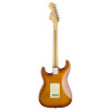 Fender American Performer Stratocaster Electric Guitar, Honey Burst, Rosewood 