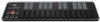 Korg NanoKEY2 USB MIDI Controller Keyboard (Black) 