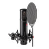 sE Electronics sE2300 Large Diaphragm Condensor Microphone 