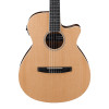 Ibanez AEG7TN-NT Electro-Acoustic Classical Guitar, Natural High Gloss 