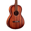 Cort AP550M Parlour Acoustic Guitar, Mahogany Open Pore 