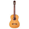 Cordoba C7 CD Classical Acoustic Guitar, Natural Gloss 