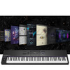 Native Instruments Kontrol S88 Keyboard with Komplete 14 Collectors Edition 