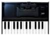 Roland K25-m Optional Keyboard for Boutique Modules 