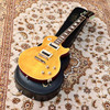 Epiphone 2010 Limited Edition Slash ‘Appetite’ Les Paul Standard with Hard Case (pre-owned)