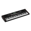 Roland E-X10 Portable Arranger Keyboard – 61 Keys with Auto Accompaniment 