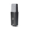 AKG C104 Professional Large Diaphragm Cardioid Condenser Microphone  