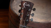 Faith Nexus Venus Cutaway Electro Acoustic Guitar. Thru-Cognac 