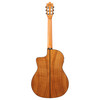 Ibanez GA360TCE-TBK Thinline Electro Acoustic Guitar, Transparent Black 