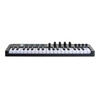Arturia MiniLAB 37 MIDI Controller Keyboard, Black 