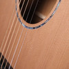 Faith FKVCD Naked Venus Cutaway Electro-Acoustic Guitar with Gigbag  (b-stock)