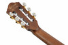 Ibanez TOD100N-NT Tim Henson Signature Nylon Electro-Acoustic Guitar, Natural High Gloss 